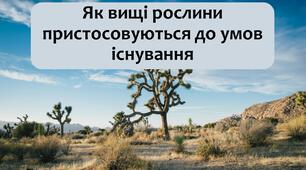 §21 Як вищі рослини пристосовуються до умов існування