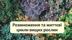 §22 Розмноження та життєві цикли вищих рослин