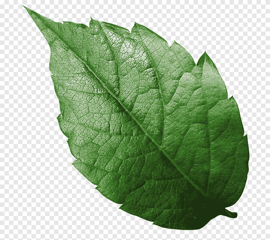 0602mab0-f483-900x800.png