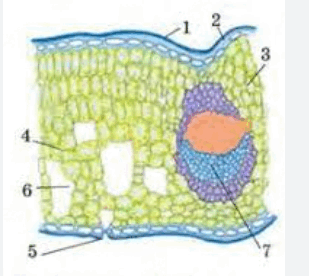 0602mapa-b34a-309x276.png