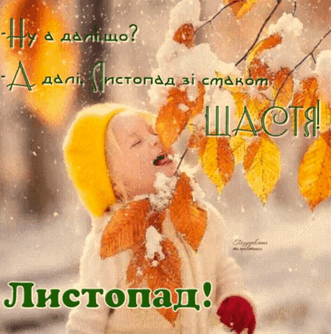 0602mc59-06d7-365x369.png