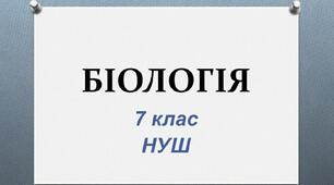 § 17. Вегетативні органи рослин. Корінь, його будова, функції та видозміни.