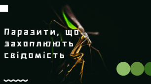 Навчальна презентація "Паразити, що захоплюють свідомість"