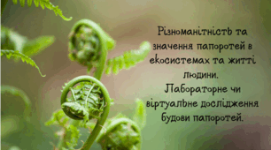 Різноманітність та значення папоротей в екосистемах та житті людини.  Лабораторне чи віртуальне дослідження будови папоротей.