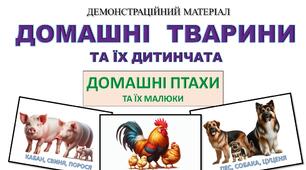 Демонстраційний матеріал " Домашні тварини та їх дитинчата. Домашні птахи та їх малюки"
