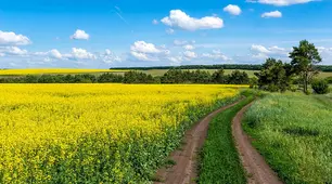 Краса і сила поетичного слова