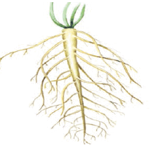 0602mh88-bf82-215x207.png