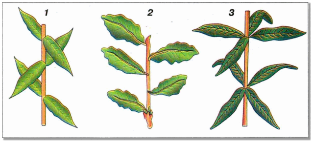 0602mh8w-49d6-641x293.png