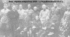 Історія України, 10 клас. Презентація "Україна наприкінці 1918 — у першій половині 1919 р."