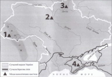 0602miov-9430-384x262.png