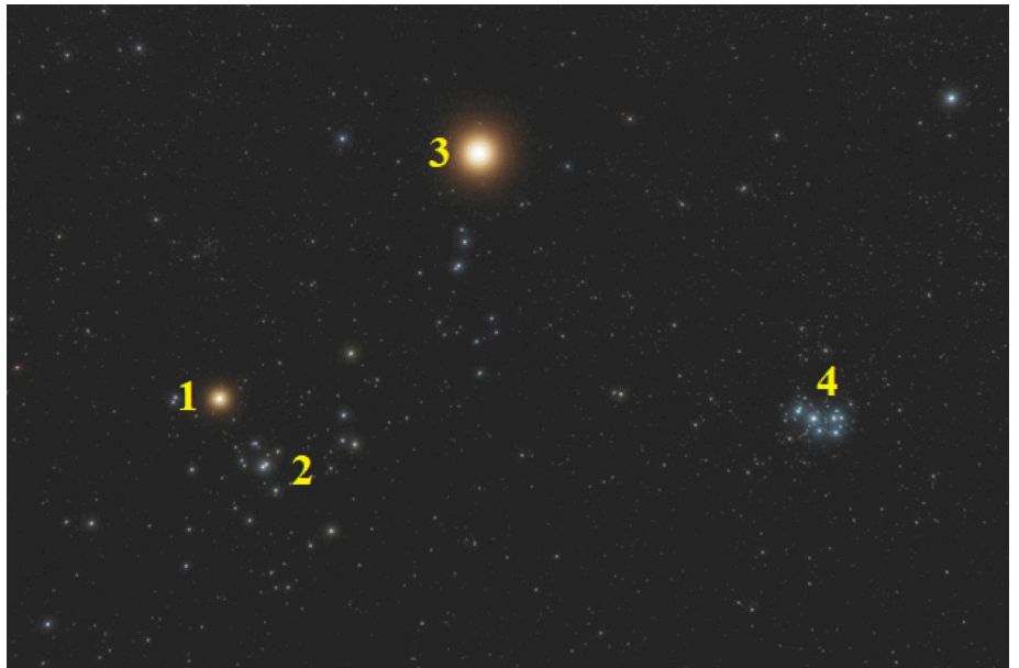 0602ml64-ad80-927x608.png