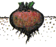 0602mnow-0438-197x167.png