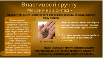 0602mo9a-5318-345x196.png
