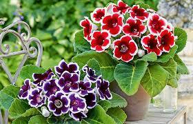 0602msto-8786-280x180.jpg