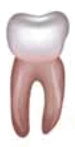0602msu4-363a-75x147.png