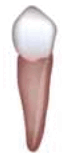 0602msud-79ea-69x157.png