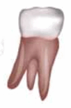 0602msuo-6273-102x154.png