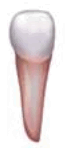 0602msv0-2e06-65x148.png