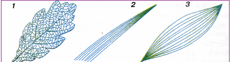 0602mug5-19fa-472x128.png