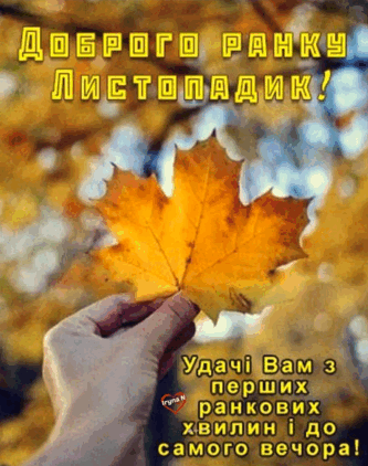 0602muul-3465-333x422.png