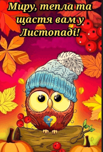 0602mvkq-f788-331x491.png
