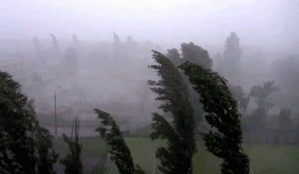 0602mw43-3192-940x546.png