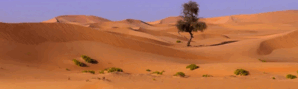 0602mw4h-9e8a-600x181.png