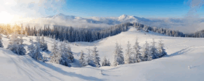 0602mw4m-273d-600x240.png