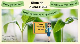 Вищі рослини - багатоклітинні організми з тканинами та органами. 7 клас НУШ