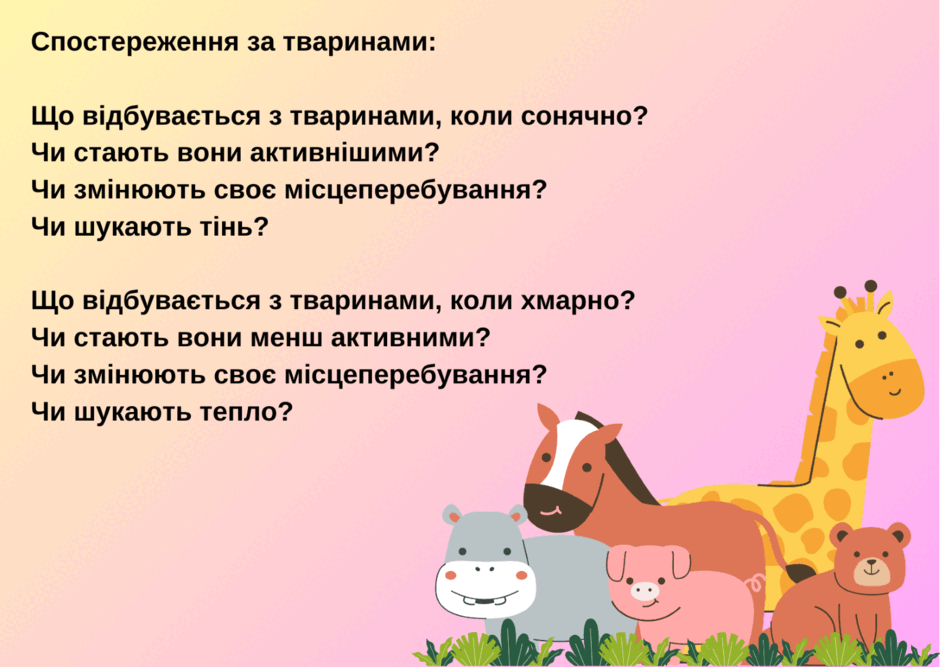 0602mw90-c196-940x667.png