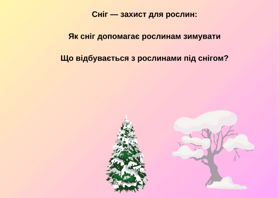 0602mwa7-0708-940x667.png