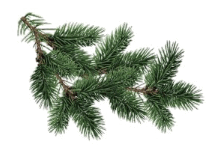 0602n0u8-2bc8-223x157.png