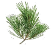 0602n0ul-f5c4-185x163.png