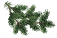 0602n0xs-4b7e-184x123.png