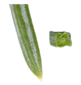 0602n0yo-55e5-119x125.png