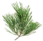 0602n141-cc20-140x135.png