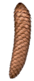 0602n1dn-04b3-49x115.png