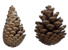 0602n1is-5206-139x103.png