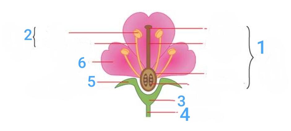 0602n60l-de15-940x425.jpg