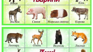 Виховна година : Свійські та дикі тварини