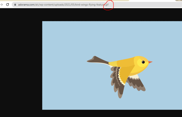 0602n6pt-f9e4-631x406.png