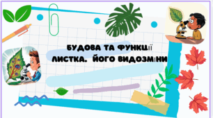 Презентація для учнів 7 класу на тему: "Будова та функції листка. Його видозміни"