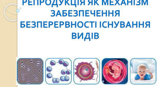 Репродукція як механізм забезпечення безперервності існування видів. Особливості процесів регенерації організму людини.