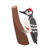 0602n91i-c972-200x200.png
