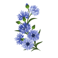 0602n91y-b7dc-200x200.png