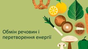 Тестування "Обмін речовин та перетворення енергії. Склад харчових продуктів. Вітаміни"