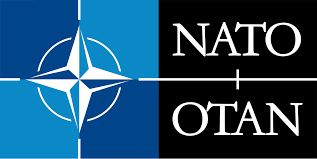 0602nc22-ce94-317x159.png