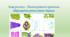 Вищі рослини – багатоклітинні організми. Формування різних типів тканин.