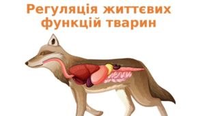 Регуляція життєвих функцій тварин