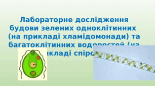 Лабораторне дослідження будови зелених одноклітинних  (на прикладі хламідомонади) та багатоклітинних водоростей (на прикладі спірогіри)